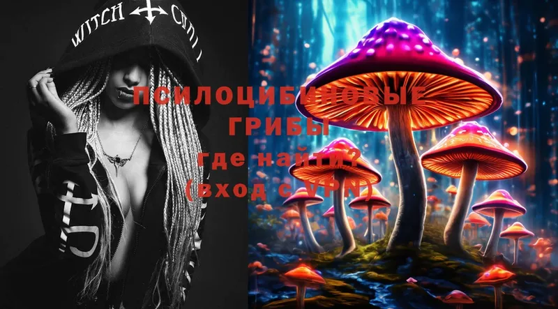 Псилоцибиновые грибы Psilocybe  Бавлы 