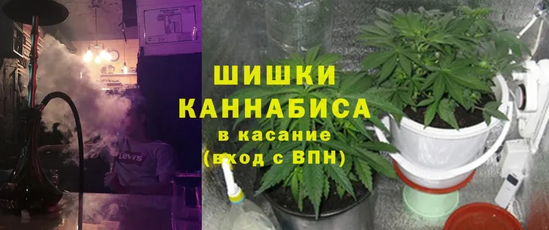 где купить наркоту  Бавлы  Бошки Шишки OG Kush 